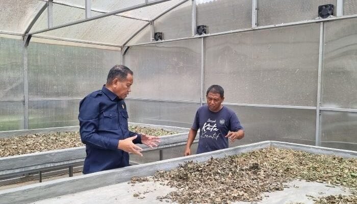 Punya Nilai Jual Tinggi, Ridwan Monoarfa Dorong Masyarakat Kembangkan Komoditas Nilam