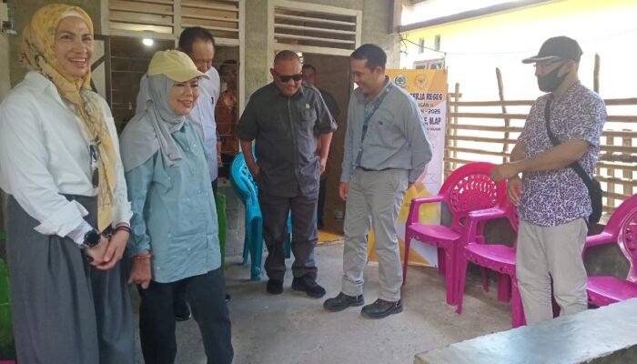 Perjuangkan Listrik di Wilayah Terpencil, Meyke Camaru Apresiasi Komitmen Rusli Habibie